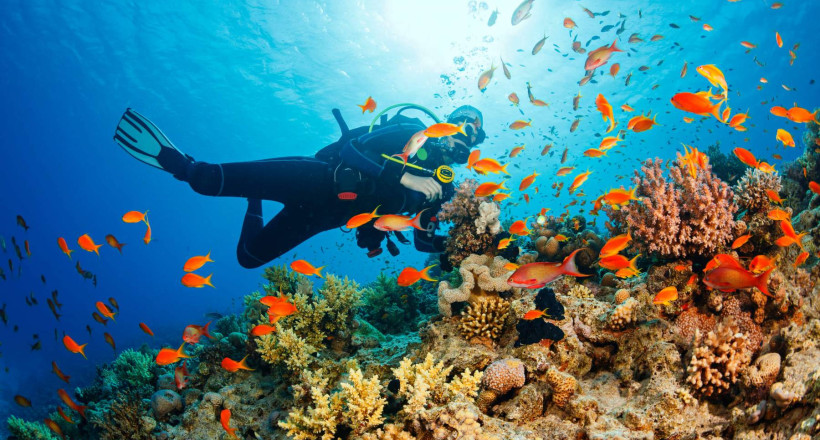 SNORKELING-DIVING-SPOTS-IN-PHU-QUOC