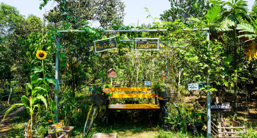 Bee-farm-Phu-Quoc-Vietnam-trip