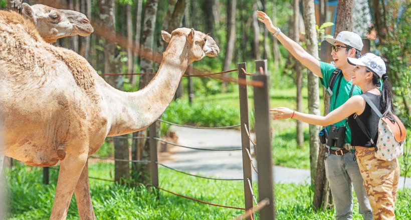 VINPEARL-SAFARI-PHU-QUOC-94-4578-1587208031