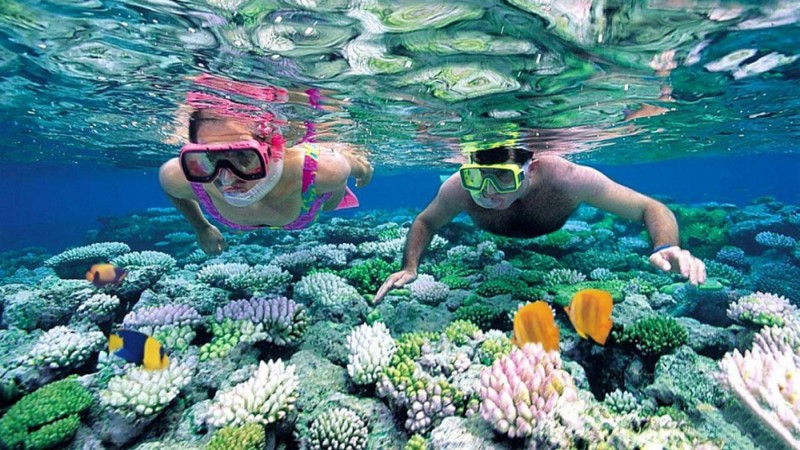 Lặn ngắm san hô phú Quốc bằng ống thở (snorkeling)