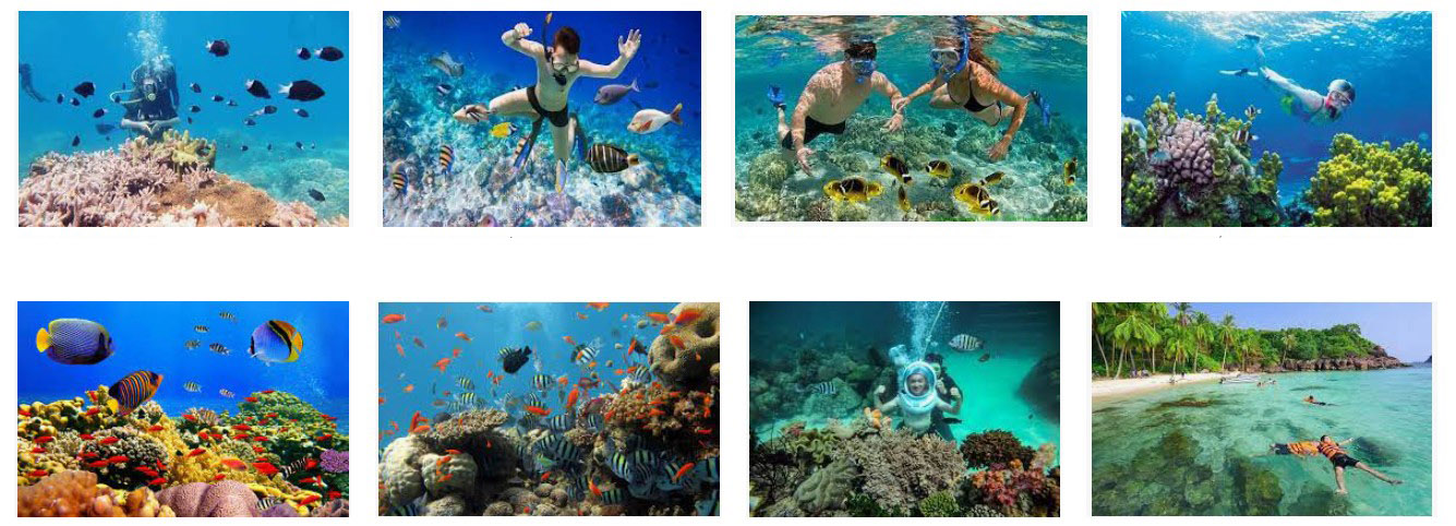 Có nhiều địa điểm rất đẹp để lặn ngắm san hô