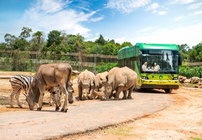 Vinpearl Safari Phú Quốc 2