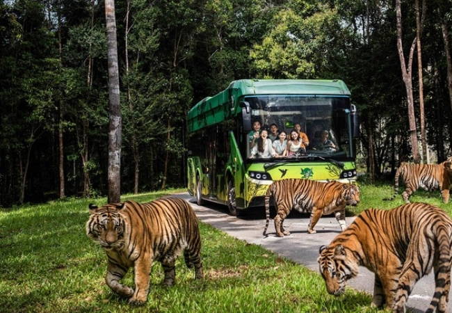 Vinpearl Safari Phú Quốc 4