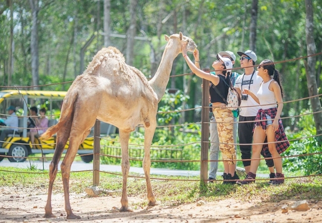 Vinpearl Safari Phú Quốc 5