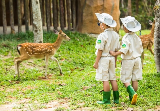 Vinpearl Safari Phú Quốc 6