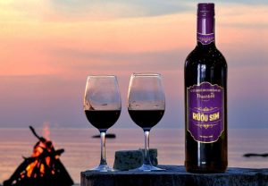 Bí mật hương vị: Khám phá các cơ sở sản xuất rượu sim Phú Quốc